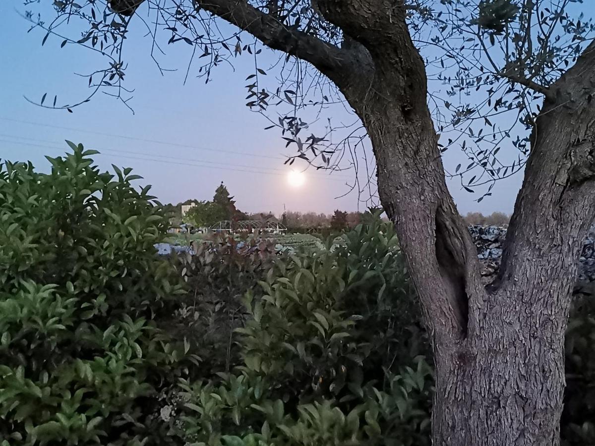Villa Mios Muro Leccese Bagian luar foto