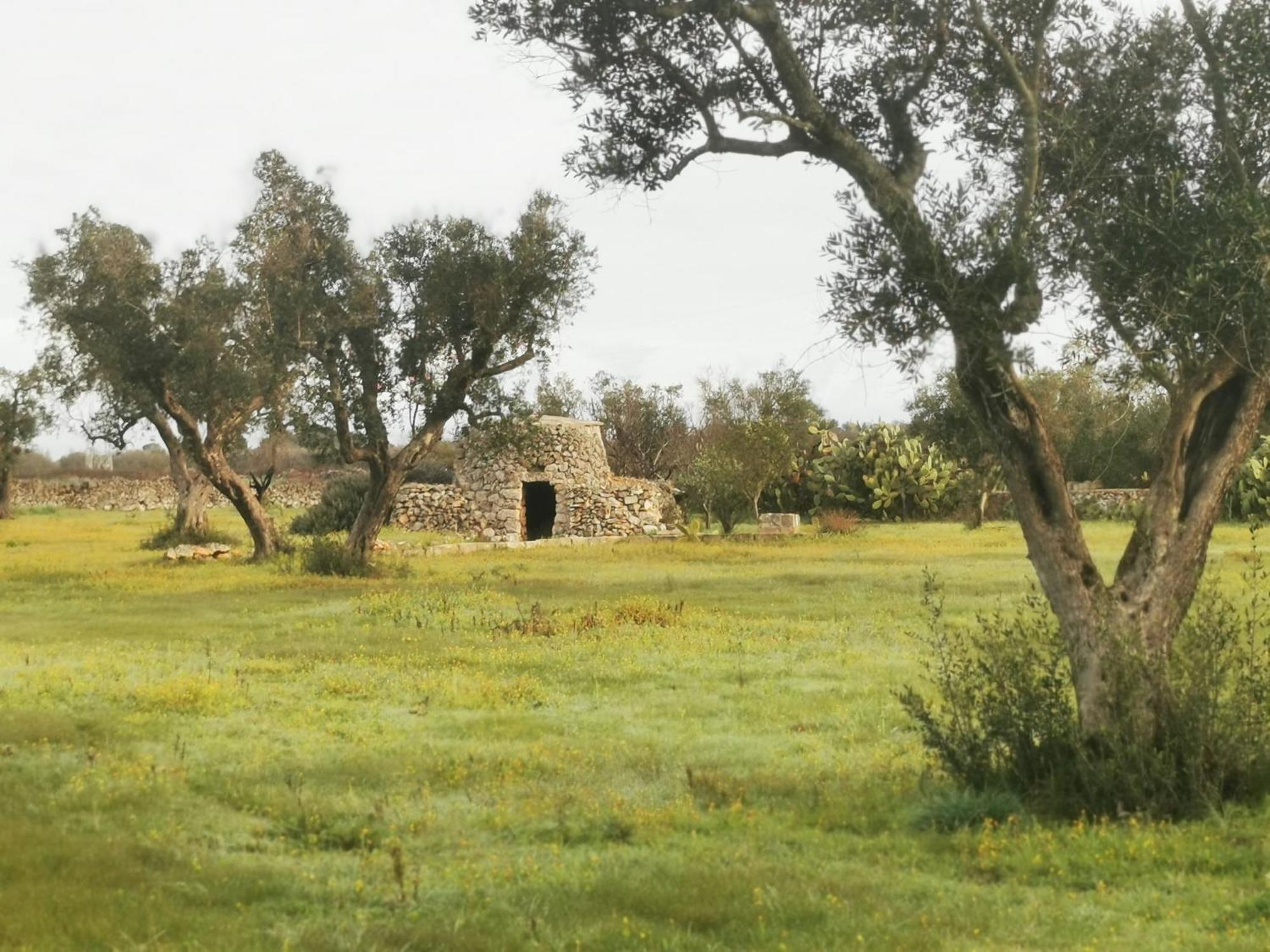 Villa Mios Muro Leccese Bagian luar foto