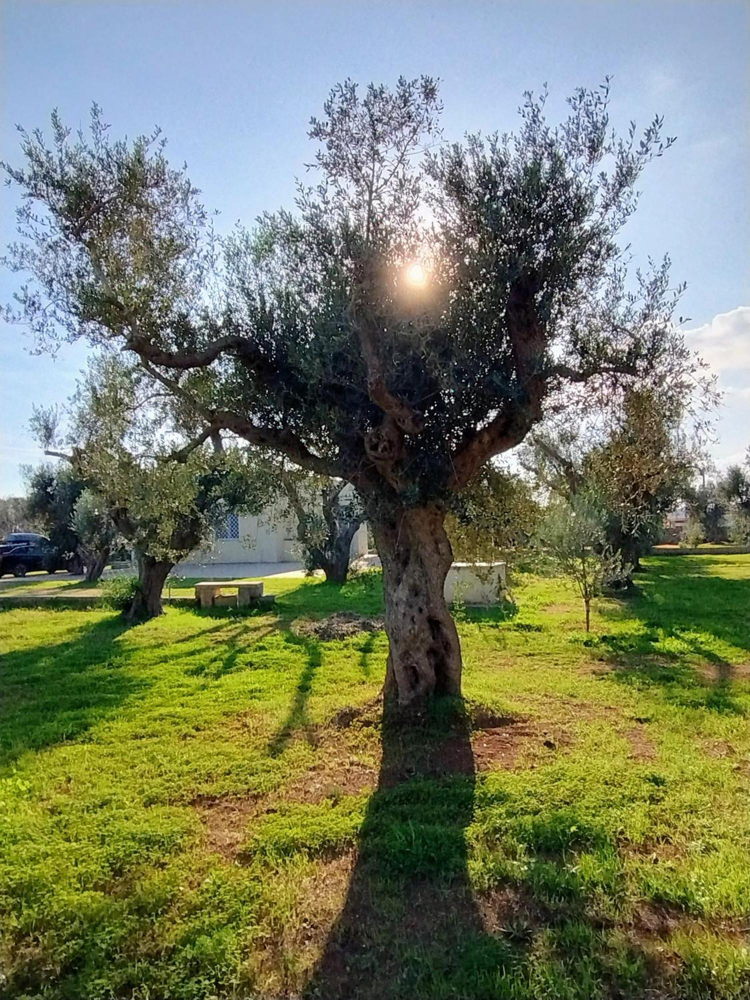Villa Mios Muro Leccese Bagian luar foto