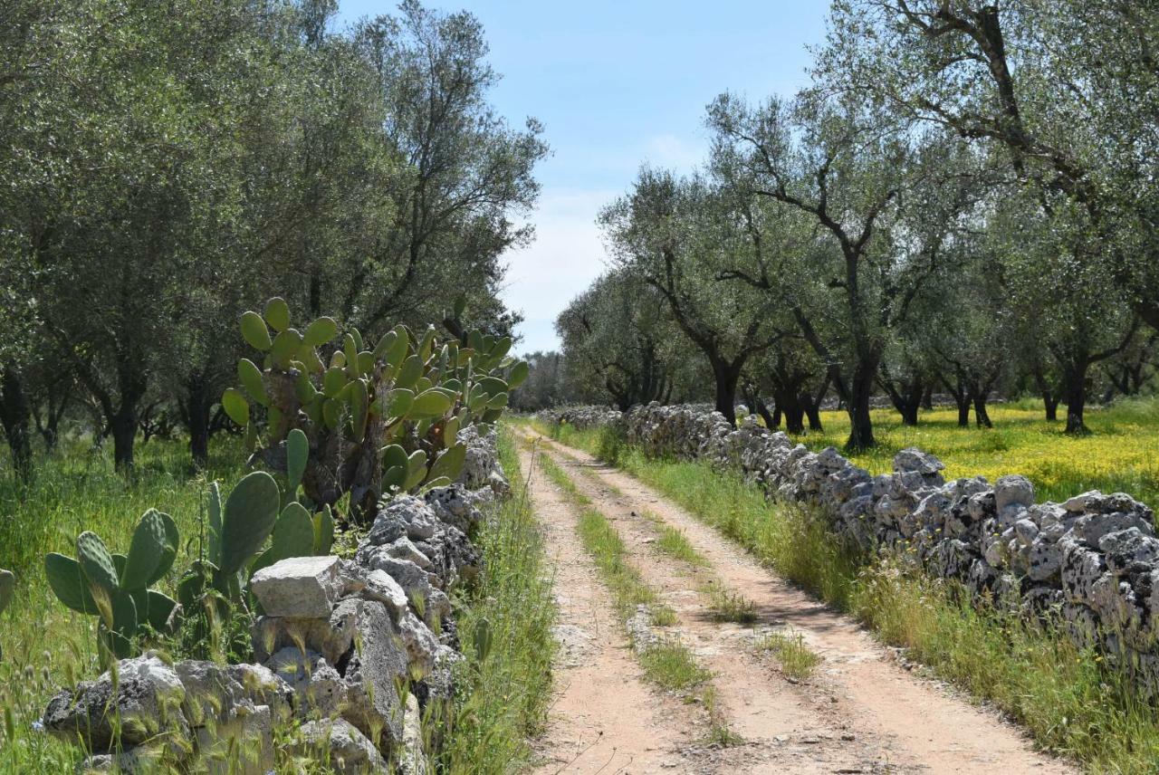 Villa Mios Muro Leccese Bagian luar foto
