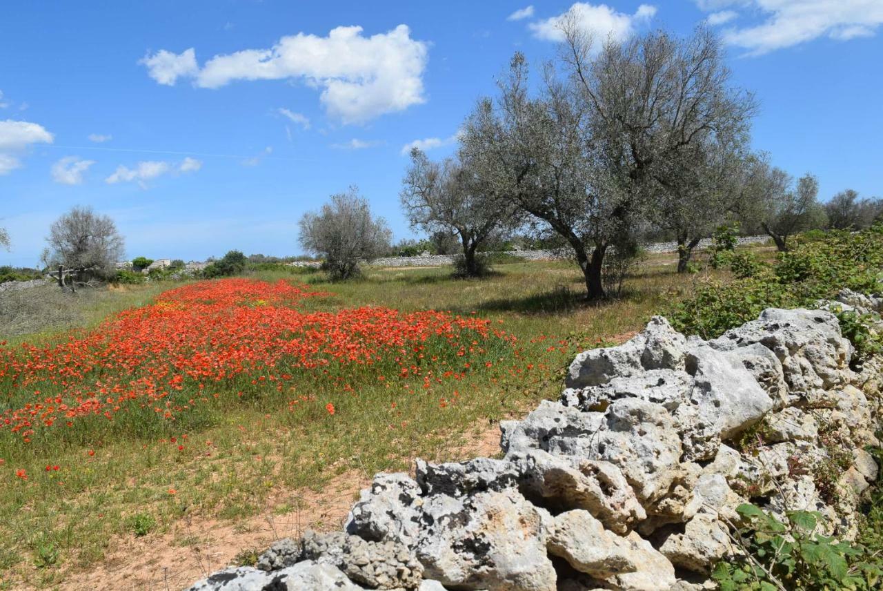 Villa Mios Muro Leccese Bagian luar foto