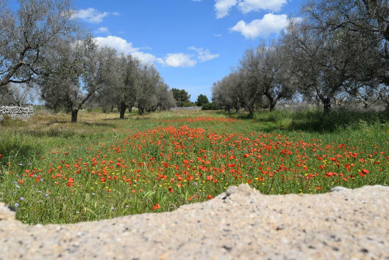 Villa Mios Muro Leccese Bagian luar foto